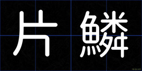片鱗