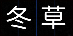 冬草