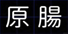 原腸