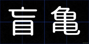 盲亀