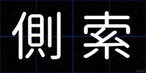 側索
