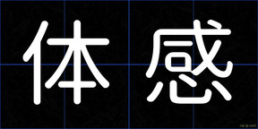 体感