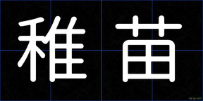 稚苗