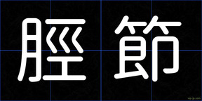 脛節