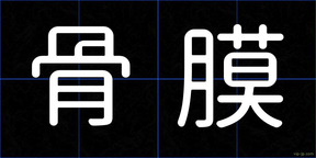 骨膜