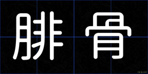 腓骨