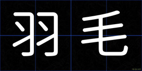 羽毛