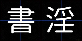 書淫