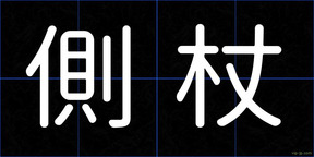 側杖