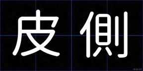 皮側