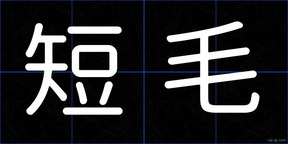 短毛