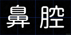 鼻腔