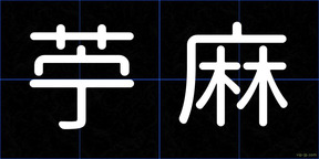 苧麻