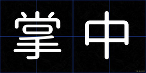 掌中
