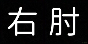 右肘