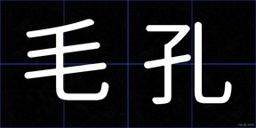 毛孔