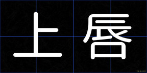 上唇