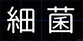 細菌