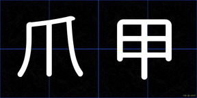 爪甲