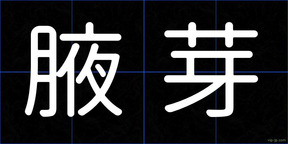 腋芽