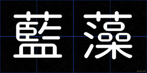 藍藻