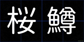 桜鱒