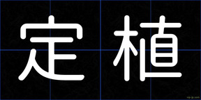 定植