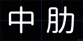 中肋
