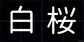 白桜