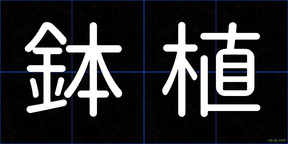 鉢植