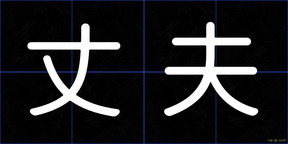 丈夫