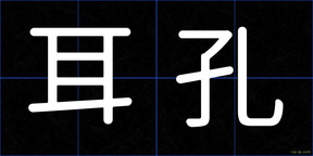 耳孔