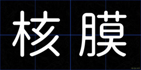 核膜