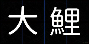 大鯉