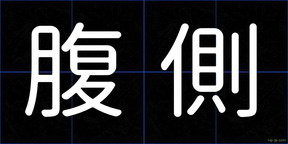 腹側