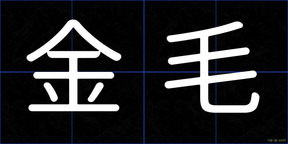 金毛