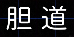 胆道