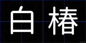 白椿