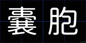 嚢胞