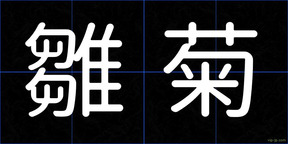 雛菊