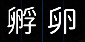 孵卵
