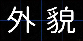外貌