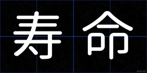 寿命