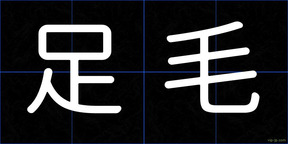 足毛