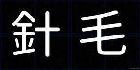 針毛