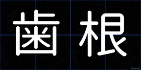 歯根