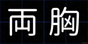 両胸