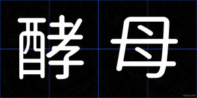 酵母