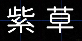 紫草