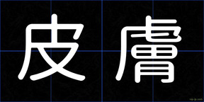 皮膚